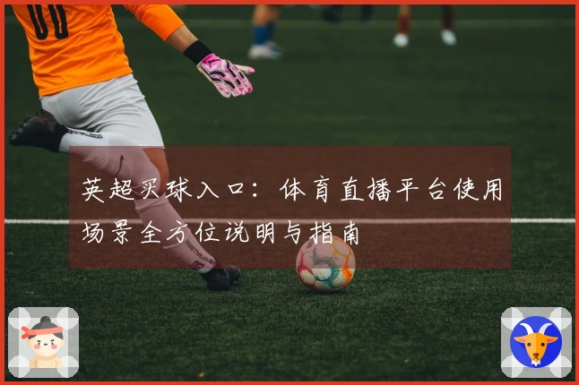 英超买球入口：体育直播平台使用场景全方位说明与指南