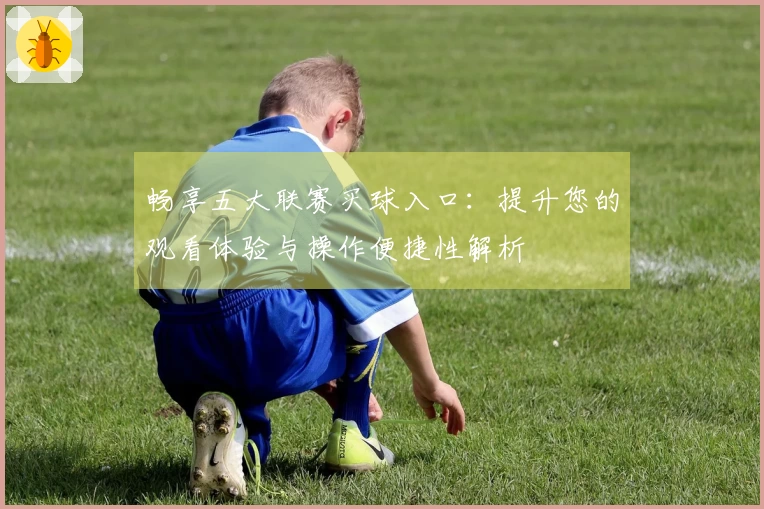 畅享五大联赛买球入口：提升您的观看体验与操作便捷性解析