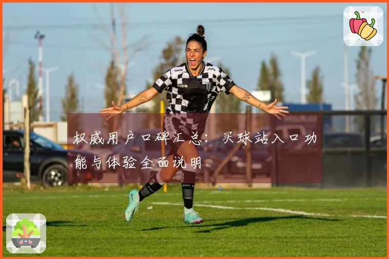 权威用户口碑汇总：买球站入口功能与体验全面说明
