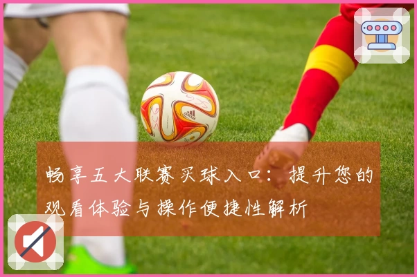 畅享五大联赛买球入口：提升您的观看体验与操作便捷性解析