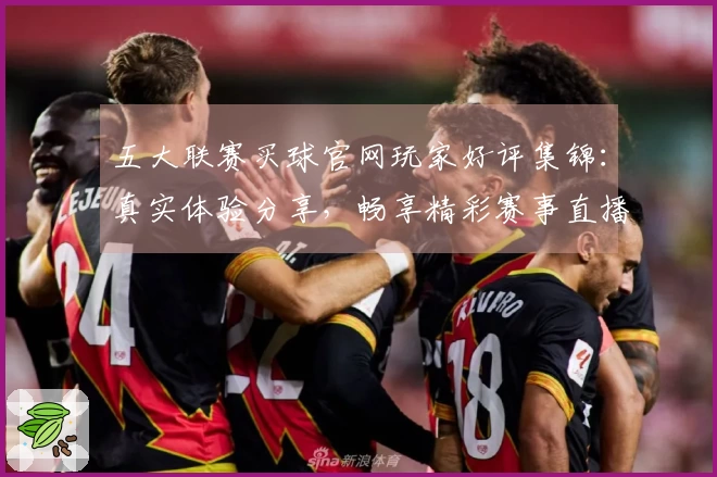 五大联赛买球官网玩家好评集锦：真实体验分享，畅享精彩赛事直播入口